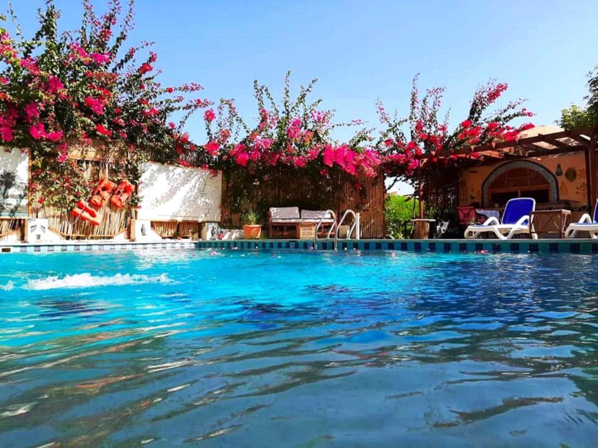Hotel Nile Compound Luksor Zewnętrze zdjęcie