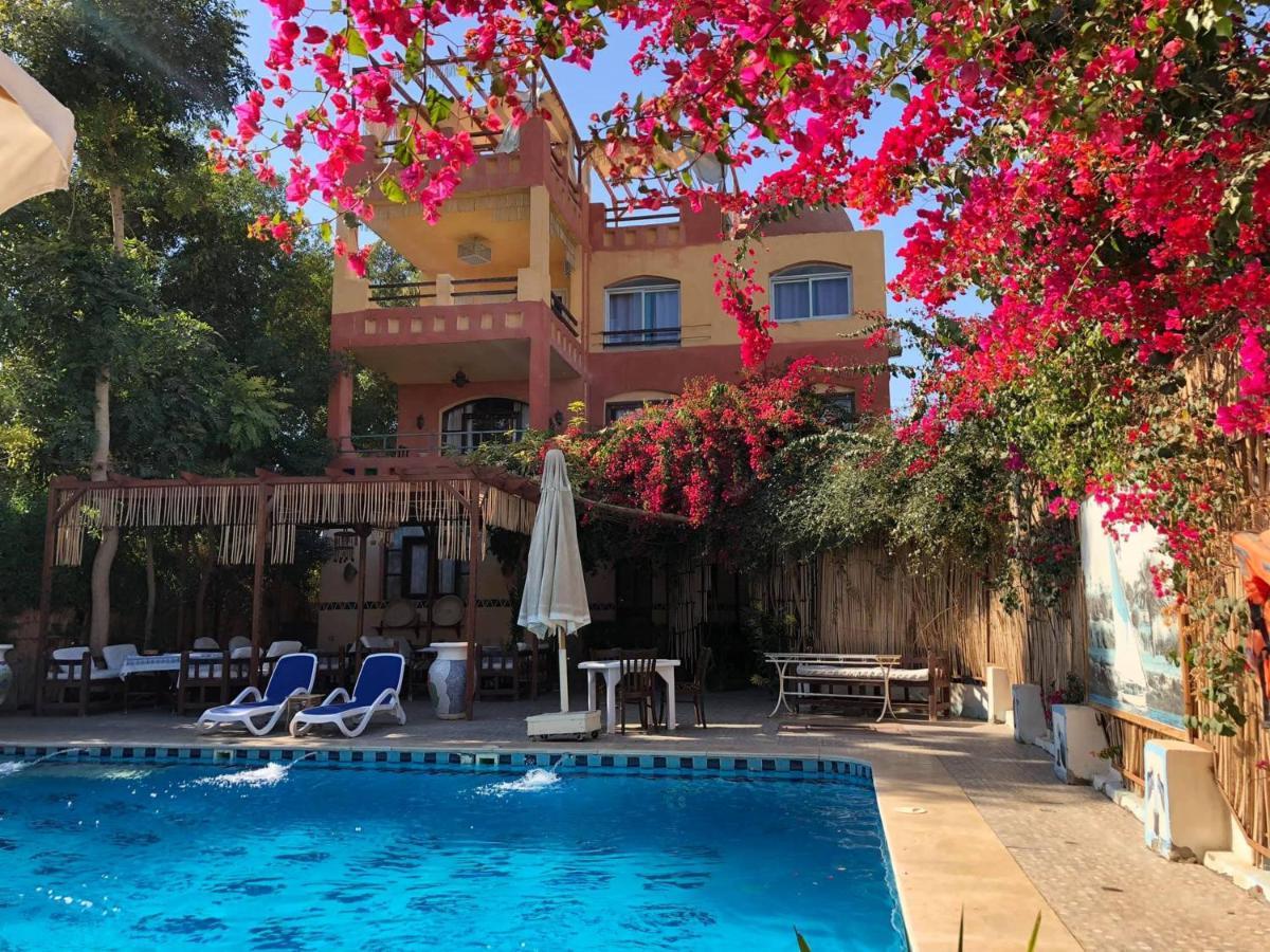 Hotel Nile Compound Luksor Zewnętrze zdjęcie