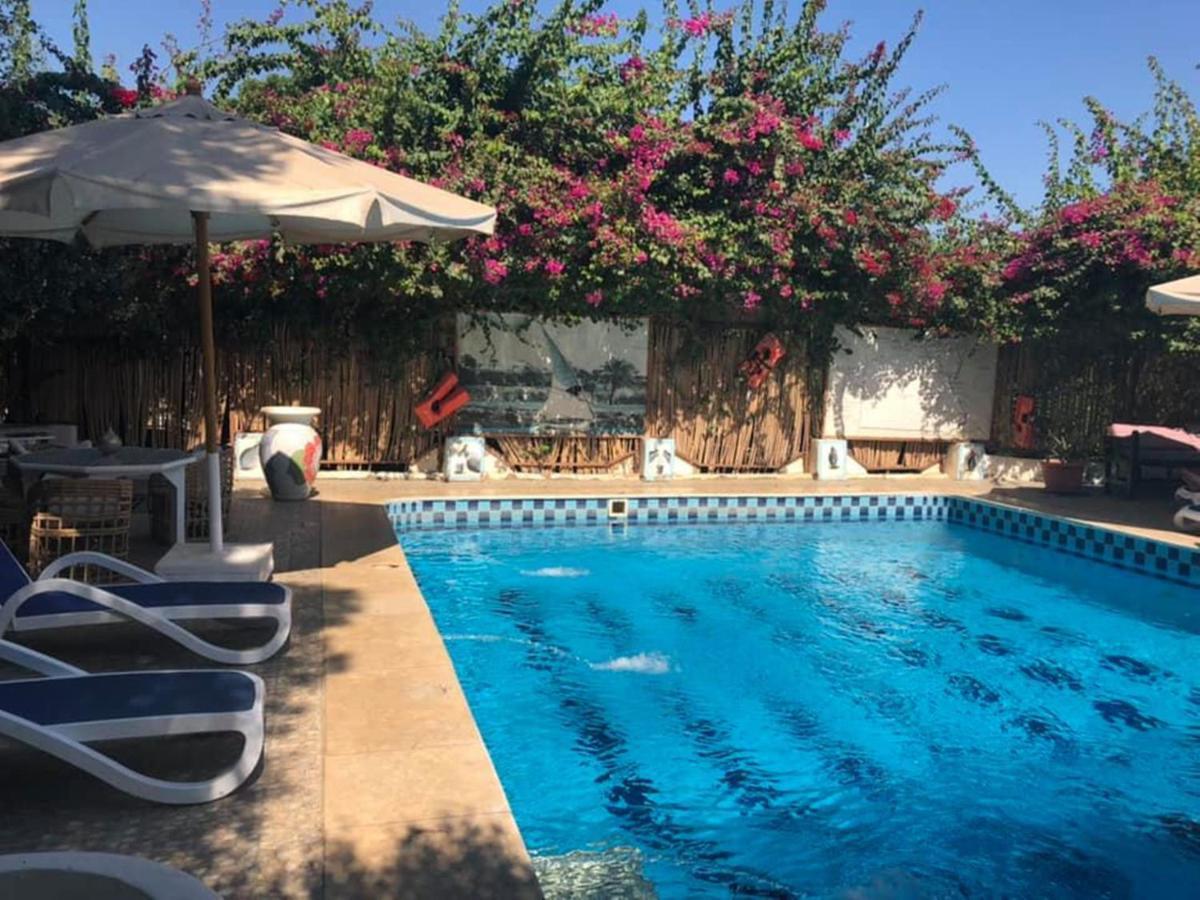 Hotel Nile Compound Luksor Zewnętrze zdjęcie