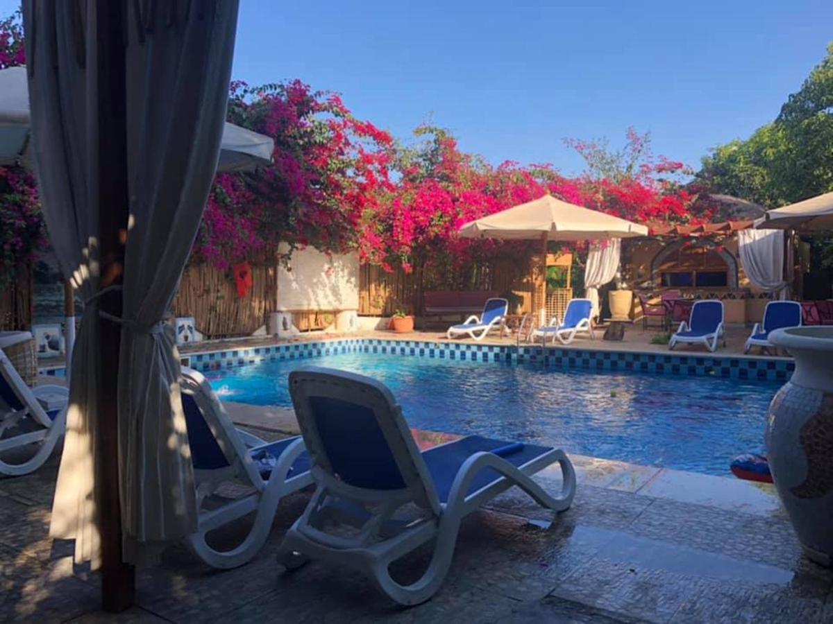 Hotel Nile Compound Luksor Zewnętrze zdjęcie