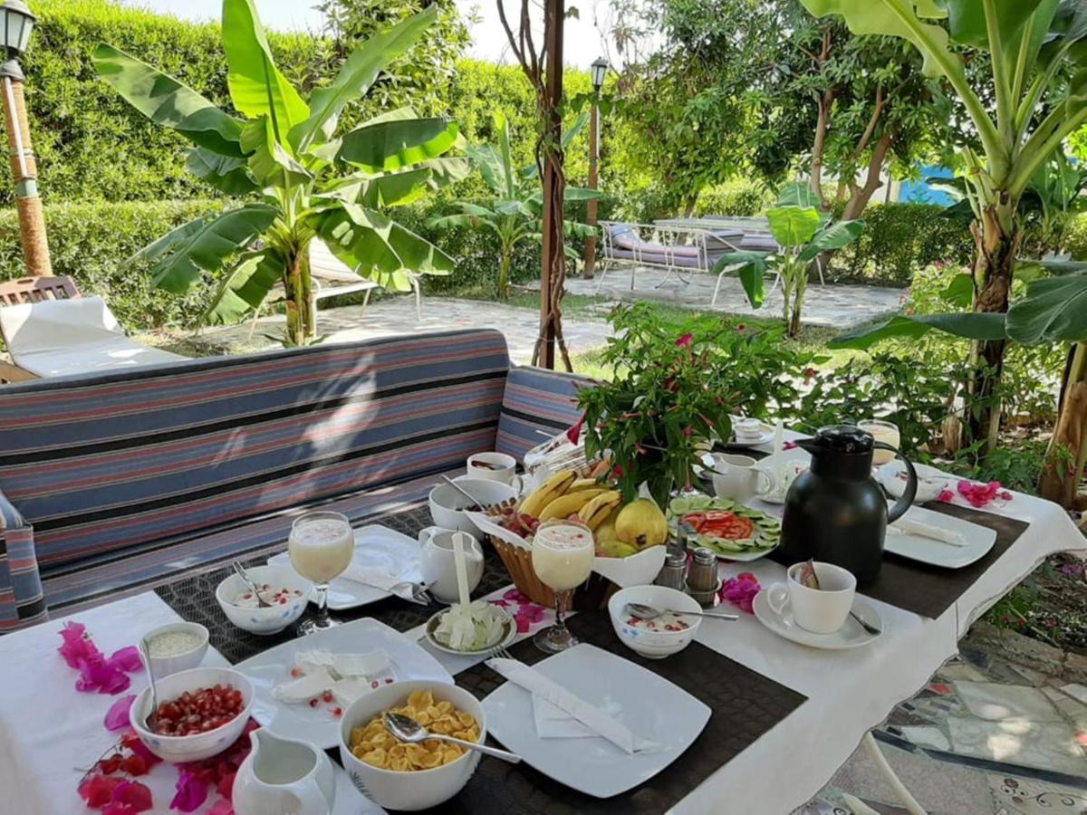 Hotel Nile Compound Luksor Zewnętrze zdjęcie