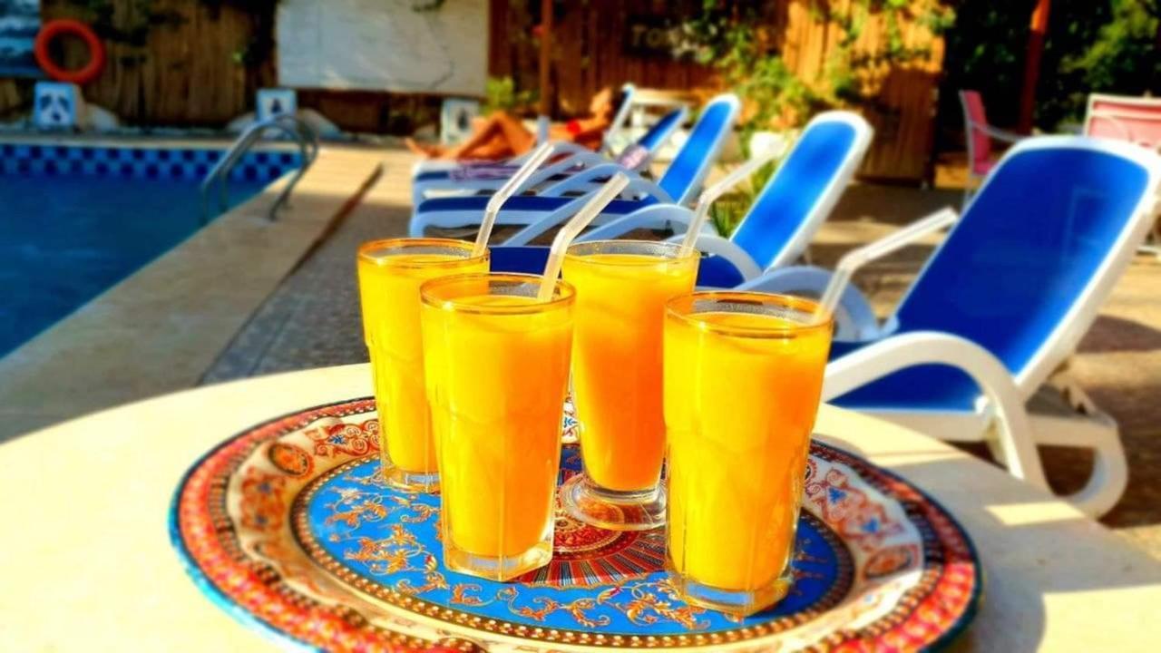 Hotel Nile Compound Luksor Zewnętrze zdjęcie