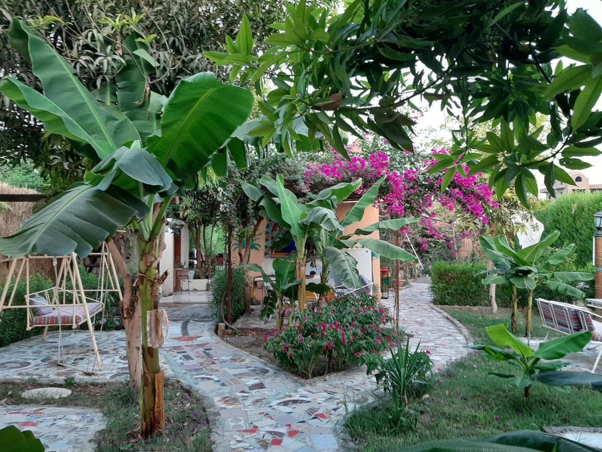 Hotel Nile Compound Luksor Zewnętrze zdjęcie